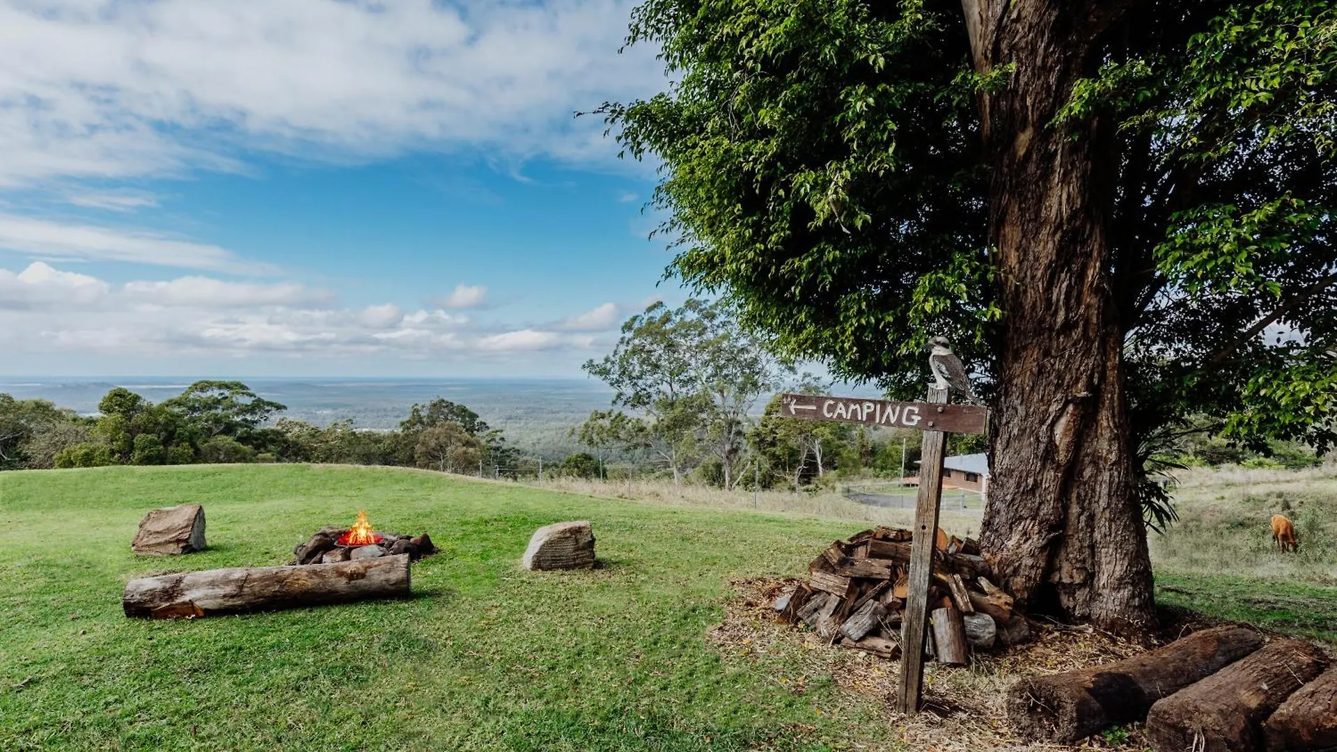 Acreage Property, Pet Friendly, Outdoor Campfire Bald Knob